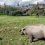 Buhardilla Rustica Mirando A Santa Catalina Lägenhet *