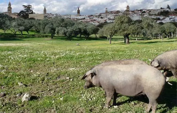 Buhardilla Rústica Mirando A Santa Catalina Apartamento *